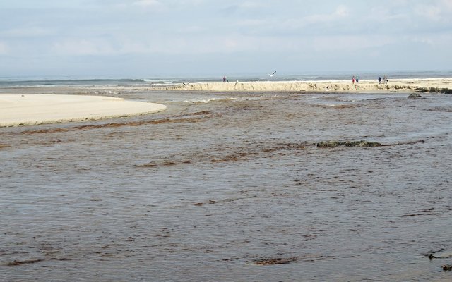 Gansbaai Uilenkraalsmond weer oop 2